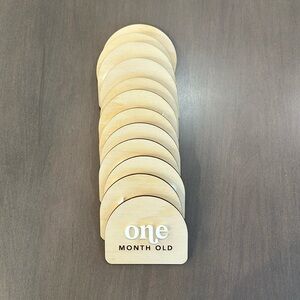 Baby Monthly Wooden Milestone Discs